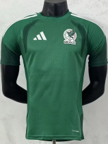 26-27 Mexico Green Player Version Training shirts