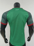 26-27 Algeria Away Player Version Soccer Jersey (无星)