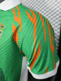 25-26 Ivory Coast Green Special Edition Player Version Soccer Jersey