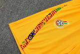 25-26 Ghana Yellow Training Short Suit