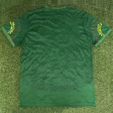 25-26 Mali Green Fans Training shirts Item NO.: 28431101