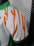 25-26 Ivory Coast White Special Edition Player Version Soccer Jersey