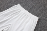 25-26 Flamengo Light gray Half Pull Tracksuit #B25129(半拉链)