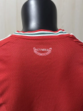 26-27 Wales Home Player Version Soccer Jersey