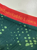 26-27 Cameroon Home Player Version Soccer Jersey