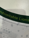 26-27 Cameroon Away Player Version Soccer Jersey