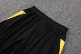 25-26 Dortmund Yellow Half Pull Tracksuit #B25142(半拉链)