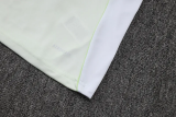 25-26 Al-Ahli Saudi Light green Training Short Suit #D25265