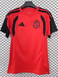 26-27 Colo-Colo Red Training shirts (圆领)
