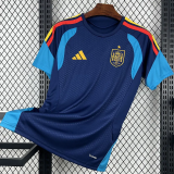 26-27 Spain Royal blue Training shirts