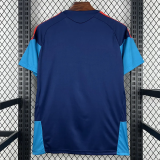 26-27 Spain Royal blue Training shirts