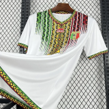 26-27 Mali Home Fans Soccer Jersey (吊花图)