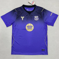 26-27 BAR Purple Black Special Edition Training shirts
