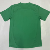 25-26 Palmeiras Green Goalkeeper Soccer Jersey
