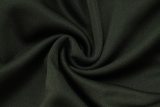 25-26 Bayern Dark green Jacket Tracksuit #A2521