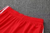 25-26 Bayern Red Training Short Suit