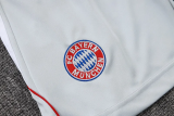 25-26 Bayern Grey Training Short Suit #D25128