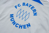 25-26 Bayern Grey Training Short Suit #D25128
