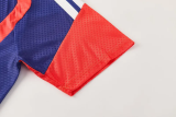 26-27 Japan Fancy blue Training Short Suit