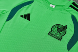 26-27 Mexico Green Training Short Suit