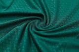26-27 Italy Green Training Short Suit