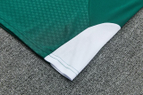 26-27 Italy Green Training Short Suit