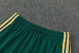 26-27 Italy Green Training Short Suit