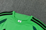 26-27 Mexico Green Training Short Suit