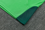 26-27 Mexico Green Training Short Suit