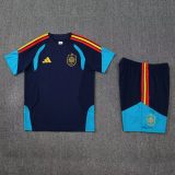 26-27 Spain Royal blue Training Short Suit