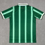 25-26 Aston Villa Green Special Edition Fans Soccer Jersey