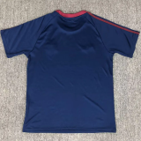 25-26 Newcastle Royal blue Casual Edition Fans Training shirts