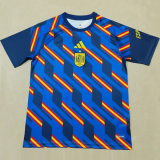 26-27 Spain Blue Training shirts