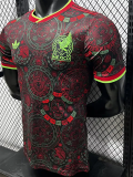 26-27 Mexico Brown Special Edition Player Version Training shirts