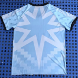 25-26 Venezia FC Blue Fans Soccer Jersey