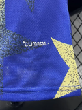 26-27 Argentina Blue Yellow Player Version Training shirts