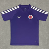 26-27 Scotland Casual Edition Purple Training shirts