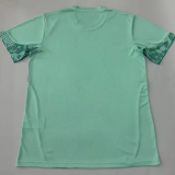 26-27 Palmeiras Light Green Goalkeeper Soccer Jersey