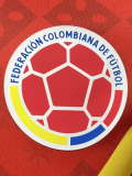 26-27 Colombia Red Special Edition Player Version Training shirts (三叶标)