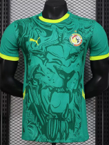 24-25 Senegal Away Player Version Soccer Jersey