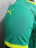 24-25 Senegal Away Player Version Soccer Jersey