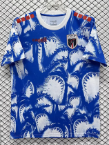 26-27 Cape Verde Blue Pre-Match Training shirts