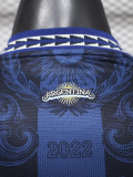 26-27 Argentina Blue Black Player Version Training shirts