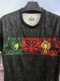 26-27 Portugal Black Red Special Edition Fans Training shirts (逗号)