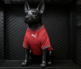 26-27  Portugal Home Pet Soccer Jersey