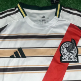 26-27 Mexico Khaki White Special Edition Training shirts