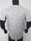 26-27 Ivory Coast White Special Edition Player Version Soccer Jersey