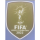 World Champions 2022世界杯胸前金盾