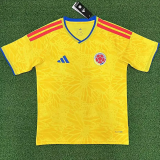 26-27 Colombia Home 1:1 Fans Soccer Jersey