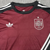 26-27 Spain Brown Goalkeeper Long Sleeve Soccer Jersey (长袖)
